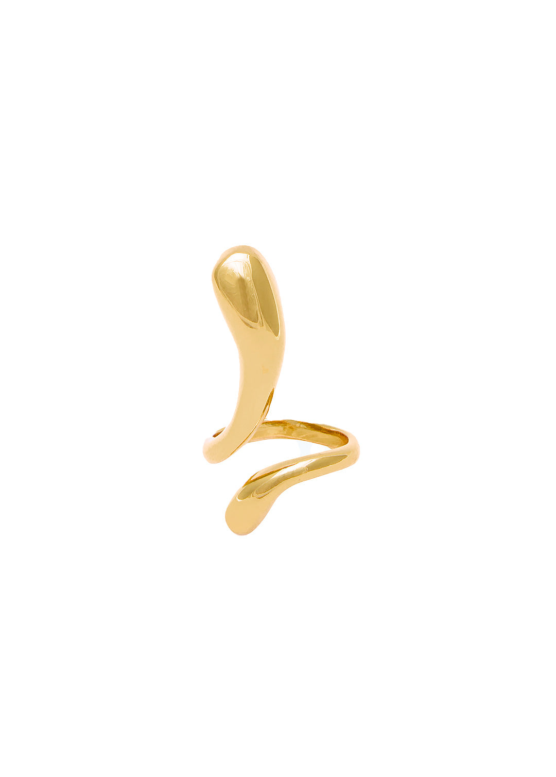Discovery Ring