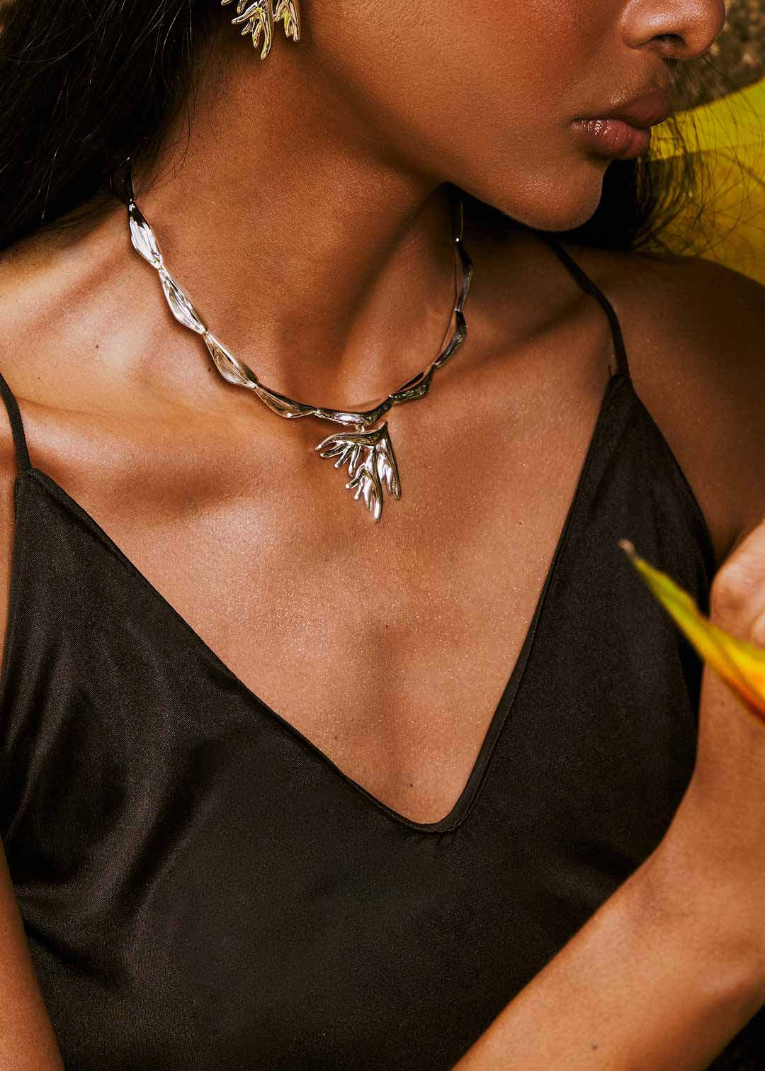 Lively Rim
