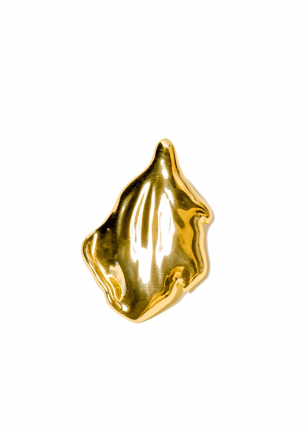 Shine Earring