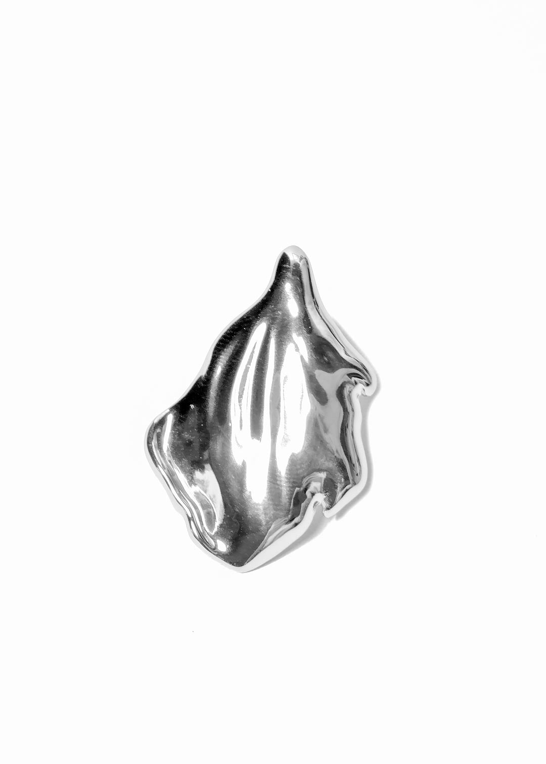 Shine Earring