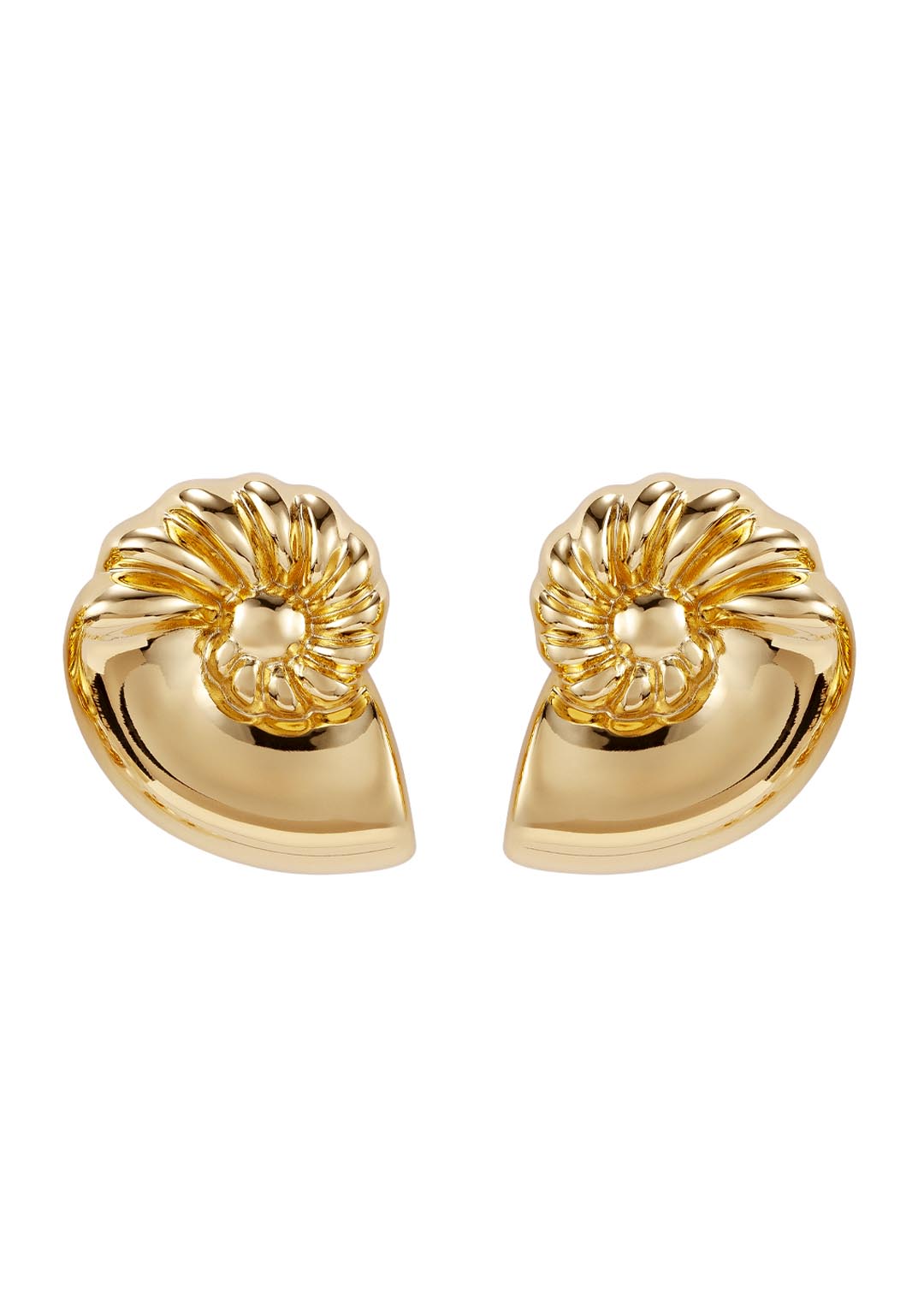 Brinco Concha Lóbulo Mergulho